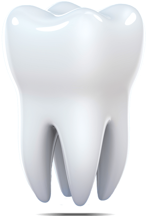 A tooth model used to explain treatment